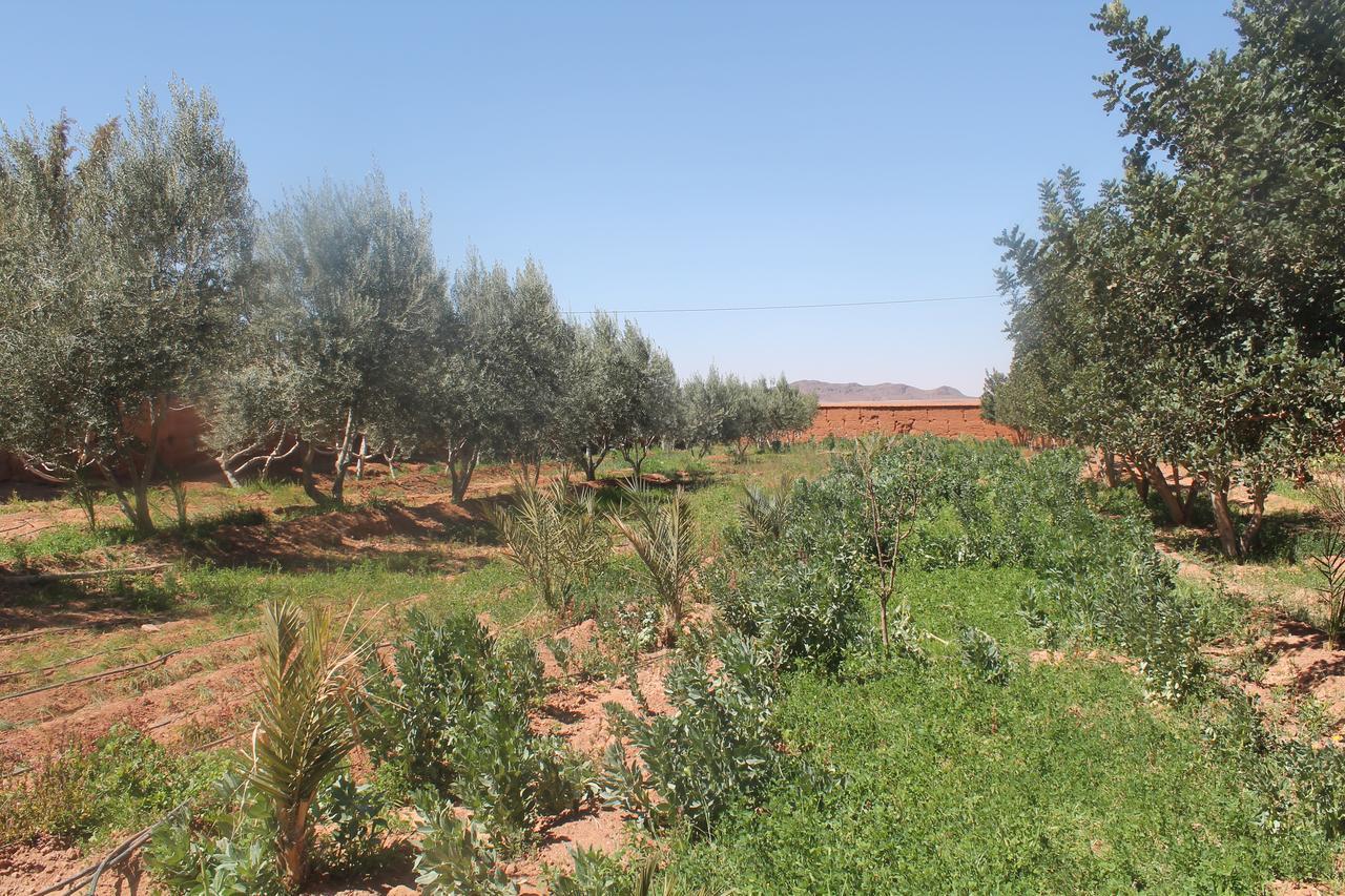 Dar Alfourssane Ferme D'Hote Ουαρζαζάτ Εξωτερικό φωτογραφία
