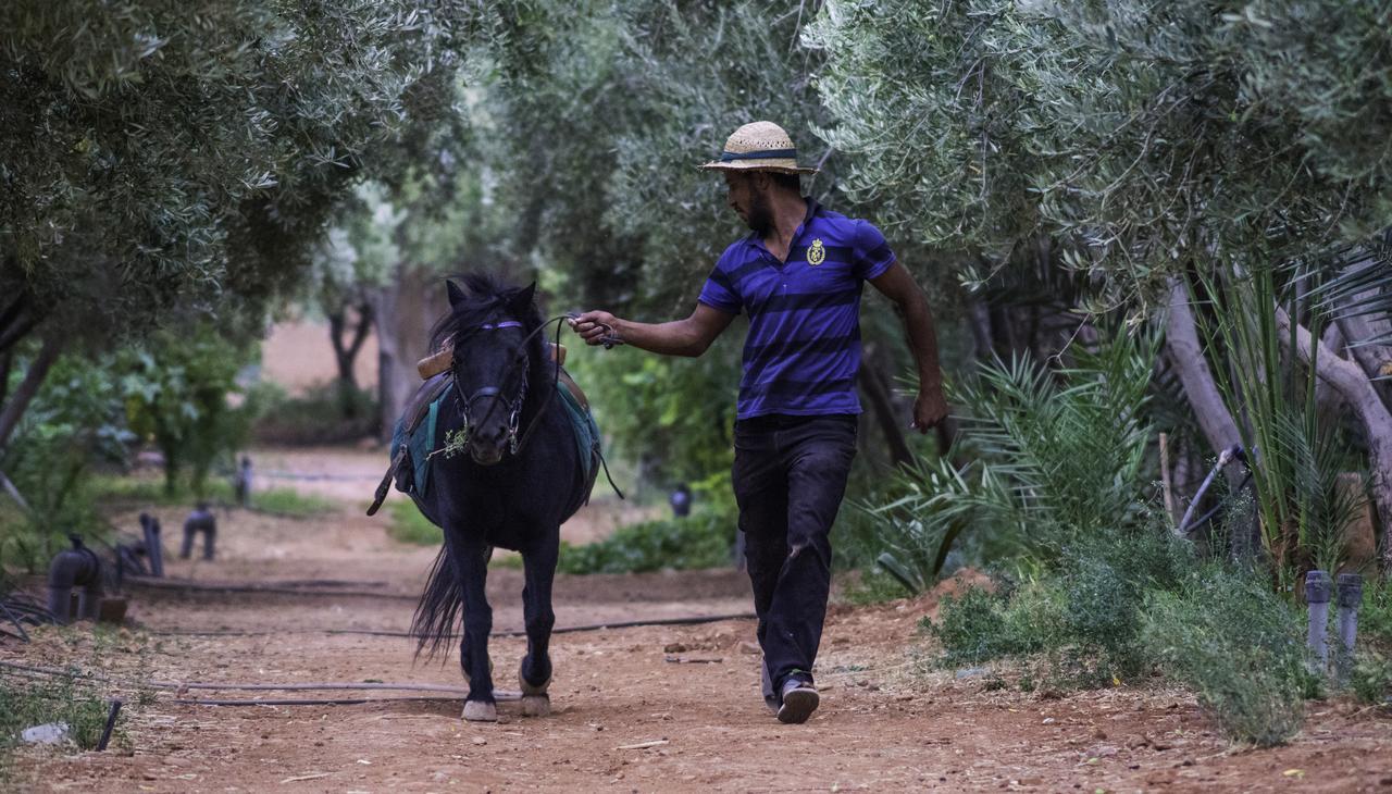 Dar Alfourssane Ferme D'Hote Ουαρζαζάτ Εξωτερικό φωτογραφία