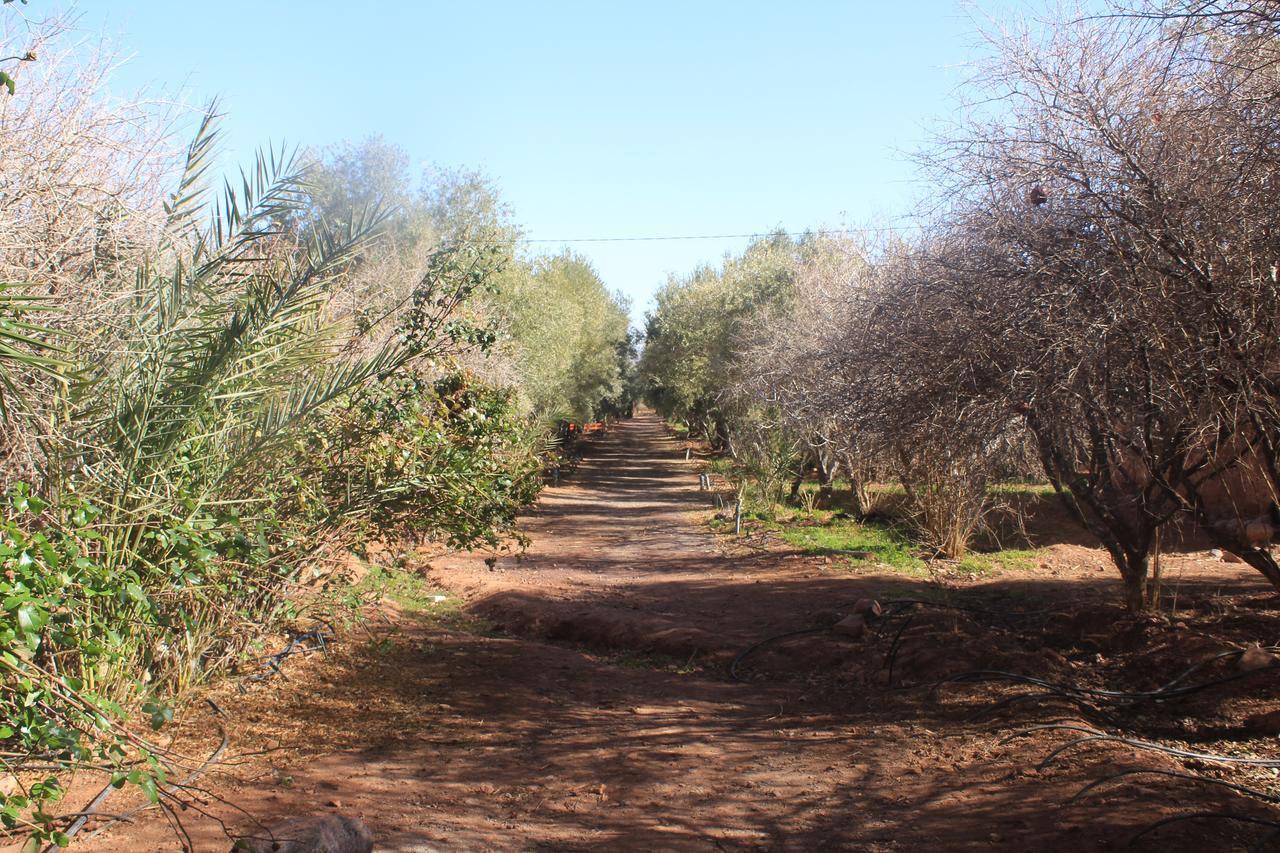 Dar Alfourssane Ferme D'Hote Ουαρζαζάτ Εξωτερικό φωτογραφία